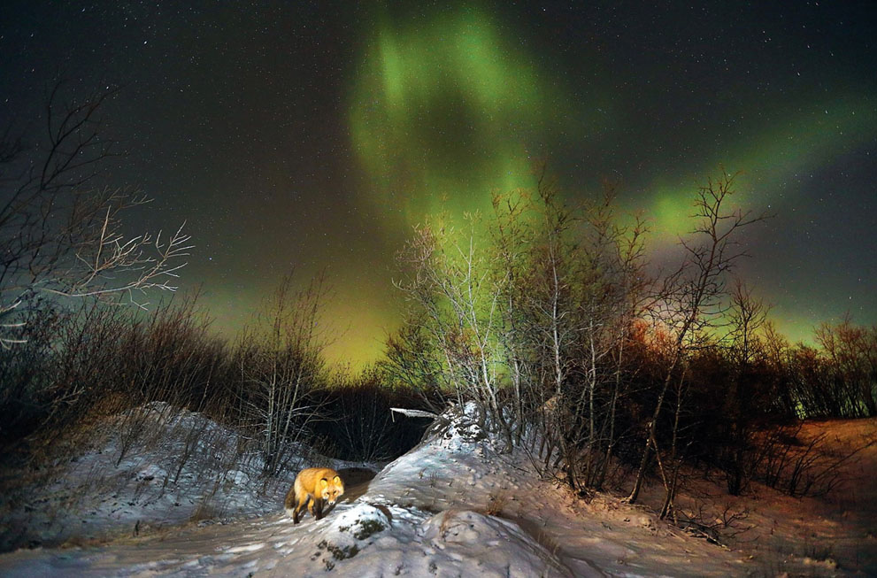 National Geographic Photo Contest 2013