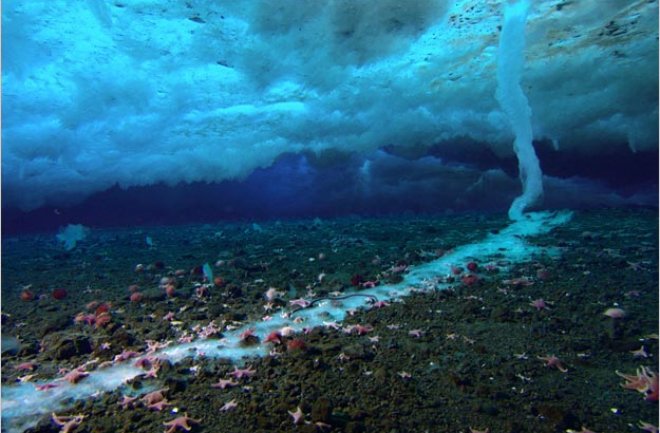 bizarre ocean phenomena