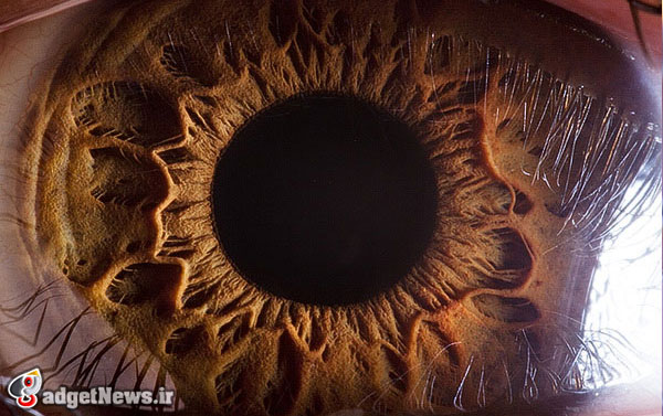 human-eye