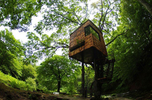 Tree-Houses