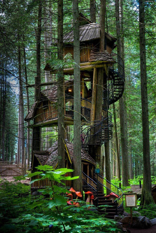 Tree-Houses