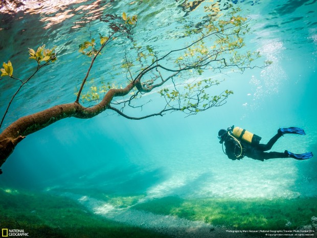 Diver in Magic Kingdom مقام سوم