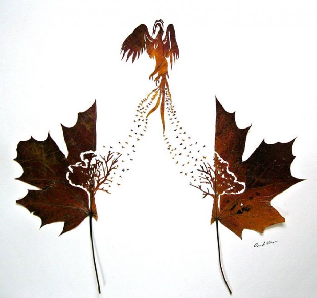 leaf-cutting-omid-asadi-7