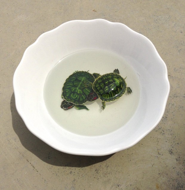 turtles_by_kenglye-d636nk8