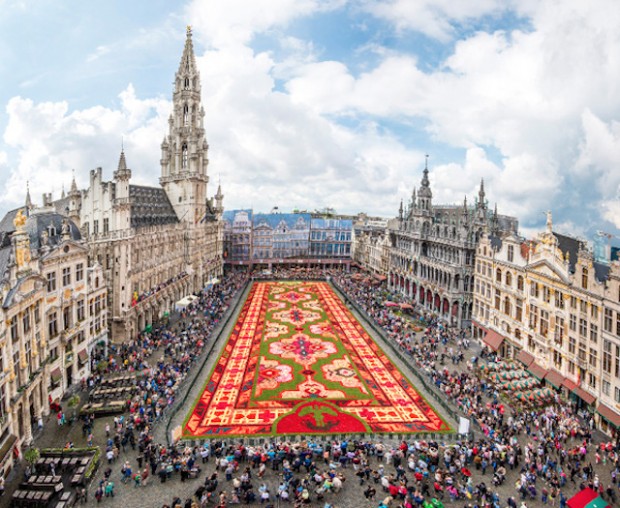 Brussels-Flower-Carpet-4