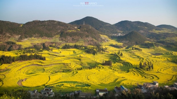  Luoping County, Yunnan, China