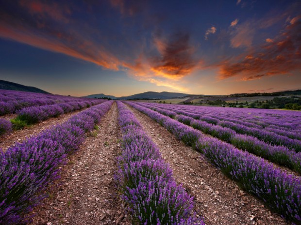  Provence, France