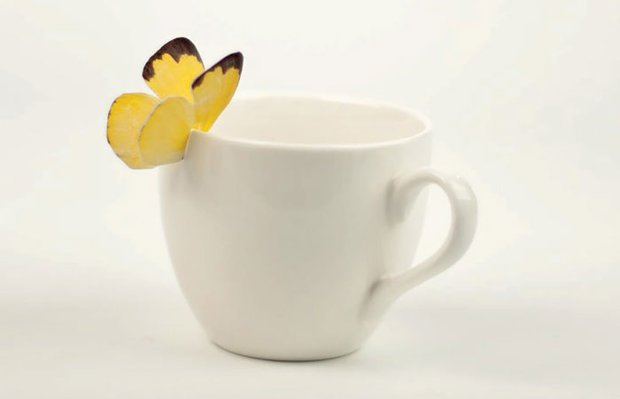 بسته بندی های خلاقانه و دیدنی چای کیسه ای به شکل پروانه