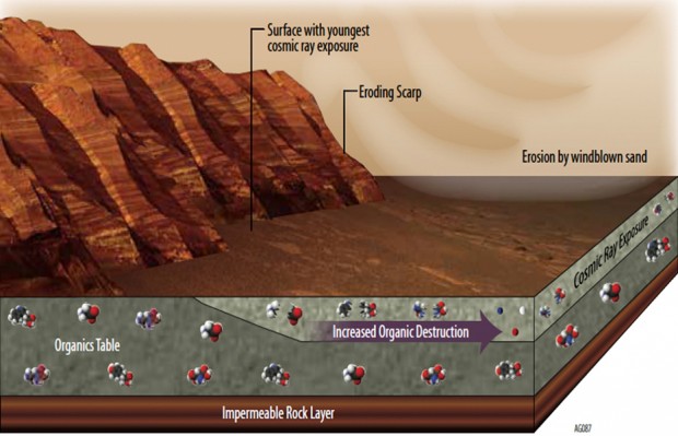 این طرح نشان می‌دهد که چرا یافتن مواد شیمیایی ارگانیک در سطح مریخ دشوار است.به هر طریقی که این موارد در مریخ تشکیل و یا به آنجا منتقل شده باشند، راههای زیادی برای تبدیل یا از بین رفتن آنها وجود دارد.