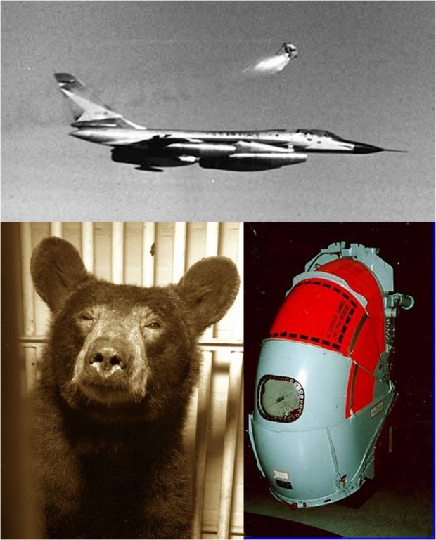 تصویری از خرس قهوه ای آمریکایی و لحظه خروجش از کابین هواپیما به هنگام آزمایش شکستن دیوار صوتی در سال ۱۹۶۲ میلادی
