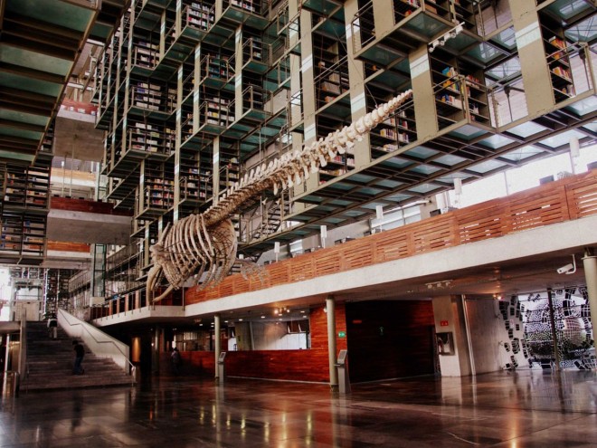  کتابخانه  خوزه واسکونسلوس در مکزیکو سیتی