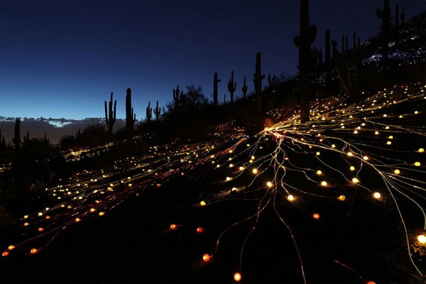 هنرمندی که با ۵۰ هزار چراغ، صحرا را به سرزمین رویاها تبدیل کرده است