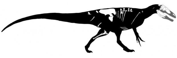 Megaraptor 