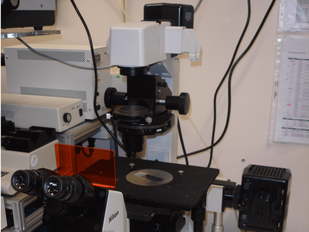 بزرگ ترین کشفیات علمی آمریکا - میکروسکوپ معکوس