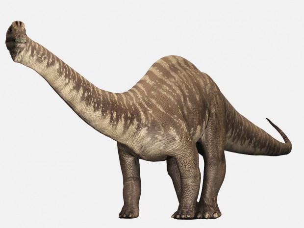 دایناسور دیپلودوکوس