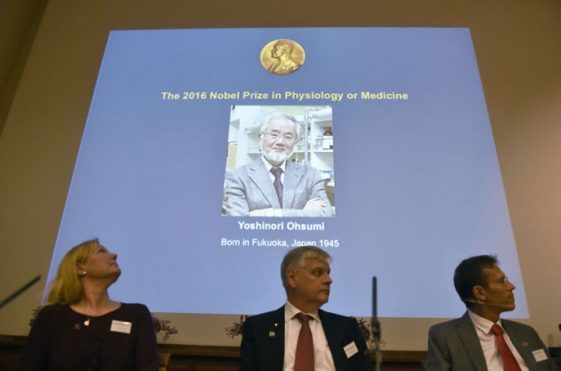 جایزه نوبل پزشکی سال 2016
