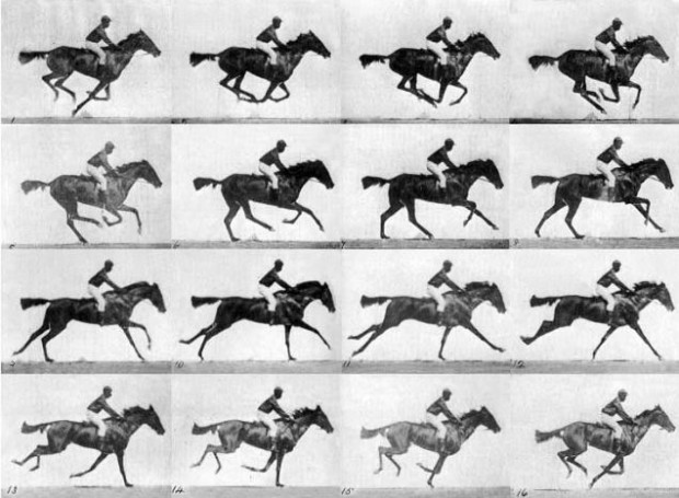 تصویر علمی اسب در حال حرکت توسط ادوارد مویبریج 