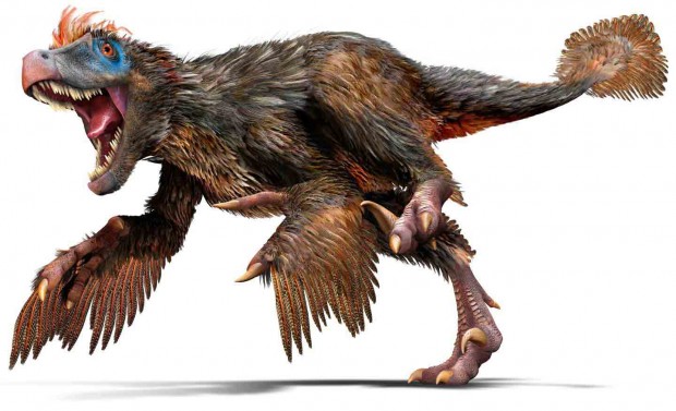 ولاسی راپتور (Velociraptor)