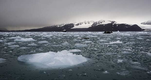 کاهش سطح یخ دریا