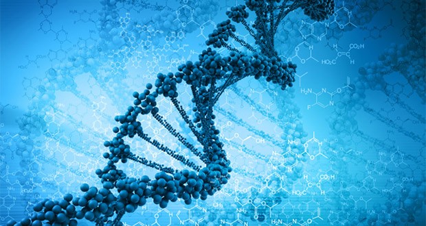 طراحی نژاد و ساختار ژنتیکی انسان