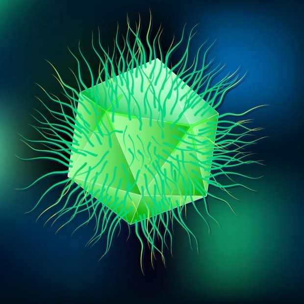 کشف چهار ویروس غول آسای تکامل یافته در تصفیه‌خانه فاضلاب