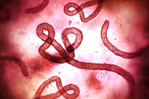 شیوع مجدد ویروس ابولا در مرکز آفریقا