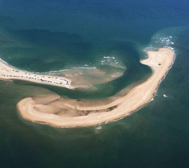 جزیره شلی: پدیدار شدن جزیره‌ای زیبا و خطرناک در ساحل شرقی آمریکا