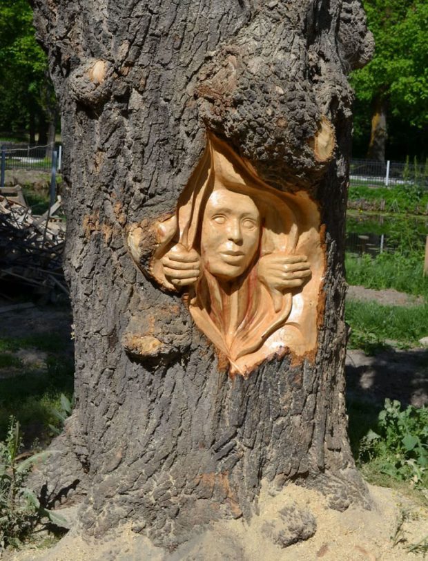مجسمه های چوبی شگفت‌انگیزی که از تنه درخت ساخته شده‌اند