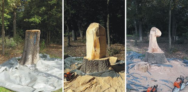 مجسمه های چوبی شگفت‌انگیزی که از تنه درخت ساخته شده‌اند