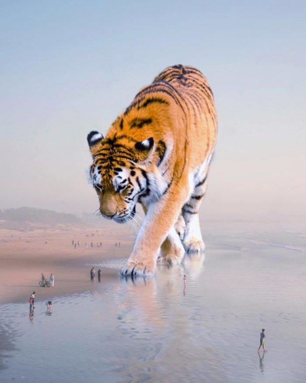 خلاقیت در فتوشاپ؛ تصاویری هنری و فوق‌العاده زیبا از حیوانات عظیم الجثه