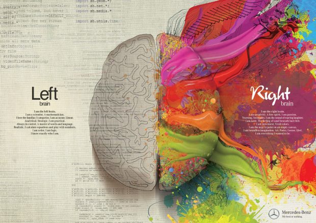 تفاوت بین نیمکره های مغز ؛ خلاقیت و هنر در مقابل استدلال و منطق