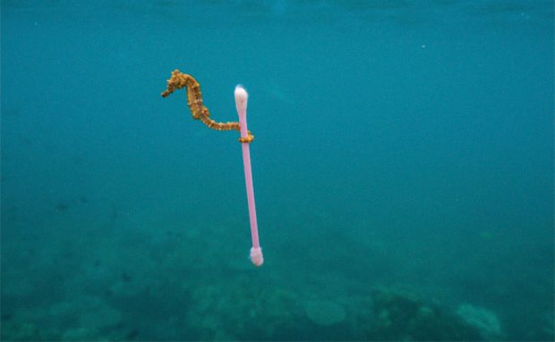 تصاویر دیدنی و نگران‌کننده کمپین آلودگی پلاستیکی نشنال جئوگرافیک