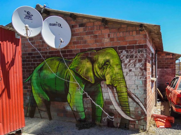 interactive-elephant-street-art-falco-one-south-africa-11-620x463.jpg