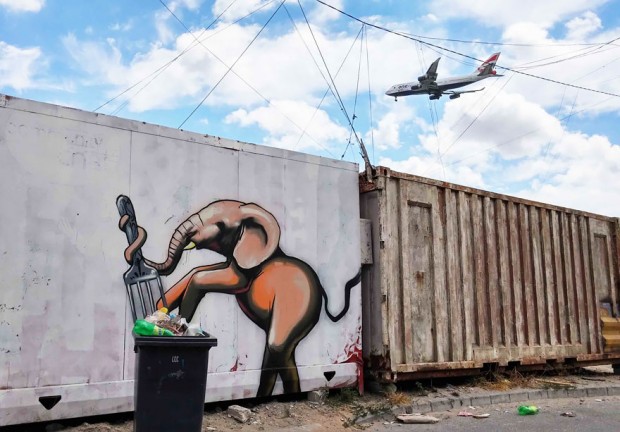 interactive-elephant-street-art-falco-one-south-africa-9-620x432.jpg