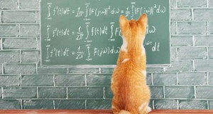 گربه ها فیزیکدانانی باهوش
