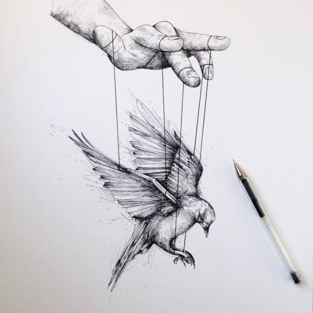 Alfred-Basha-Bird-ink-illustration-tatoo-57266e9858d01__880-620x620.jpg