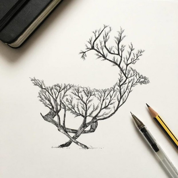 Alfred-Basha-Deer-ink-illustration-57266e291c1aa__880-620x620.jpg