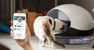 دستگاه Catspad قرار است لذت غذا دادن به حیوان خانگی را هم ازتان بگیرد!