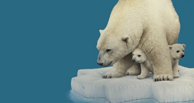نقاشی خرس قطبی