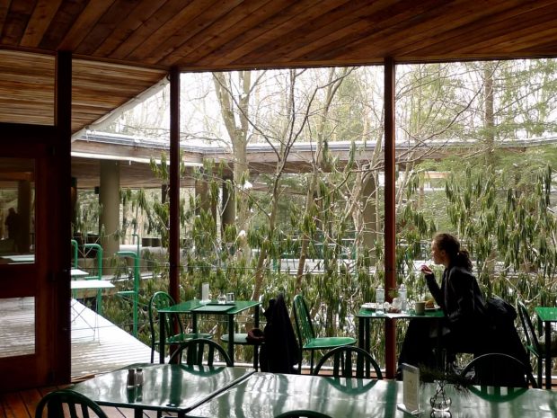 14 مورد از شاهکارهای فرانک لوید رایت ، معروف ترین معمار آمریکایی