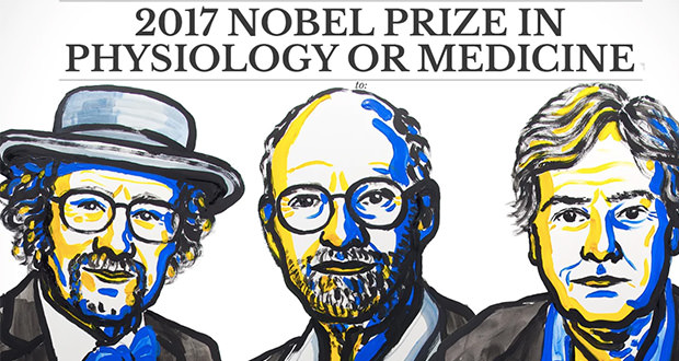 جایزه نوبل پزشکی 2017