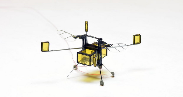 زنبور رباتیک RoboBee؛ اختراعی شگفت‌انگیز با قابلیت شیرجه، شنا و پرواز + ویدیو