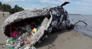 آلودگی پلاستیکی ،‌ خطری بزرگ که تا اعماق اقیانوس نفوذ کرده است!