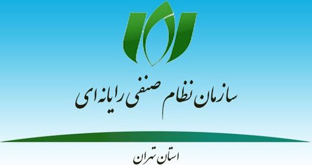 سازمان نظام صنفی رایانه ای تهران