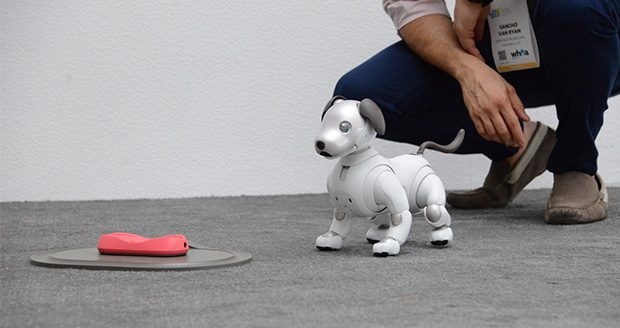 ربات سگ سونی Aibo