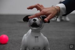 ربات سگ سونی Aibo