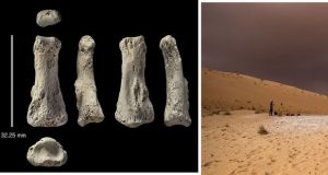 استخوان انگشت 88 هزار ساله تاریخ تکامل بشریت را بازنویسی می‌کند!