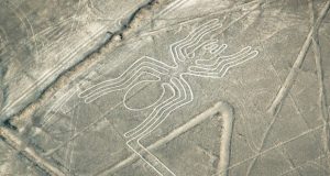 بخش جدیدی از نقاشی‌های صحرایی چند هزار ساله خطوط نازکا کشف شد