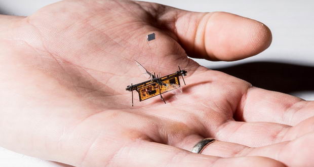 مگس رباتیک RoboFly