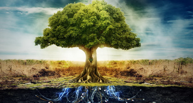 معروف ترین درختان مقدس دنیای اسطوره شناسی